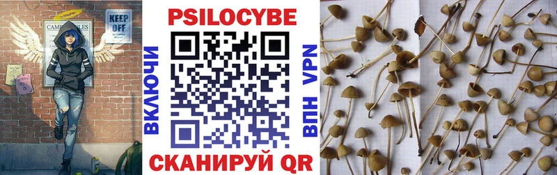 хочу наркоту  Кропоткин  Галлюциногенные грибы MAGIC MUSHROOMS 